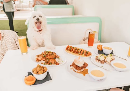 Dog-Friendly Restaurants in Austin, Texas: A Guide for Pet Owners